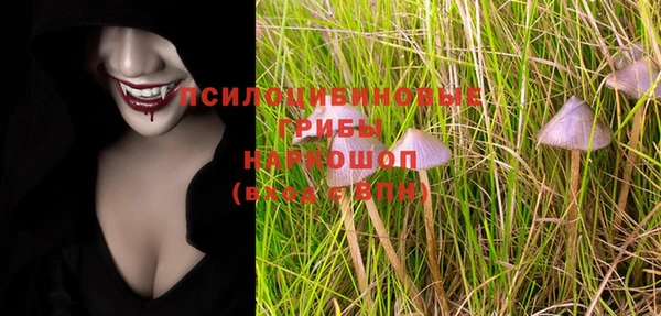 гидропоника Балабаново